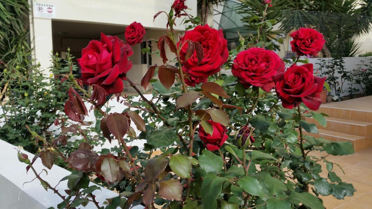 חאניה Dreamy Holidays Apartment מראה חיצוני תמונה