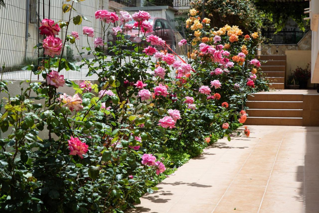 חאניה Dreamy Holidays Apartment מראה חיצוני תמונה